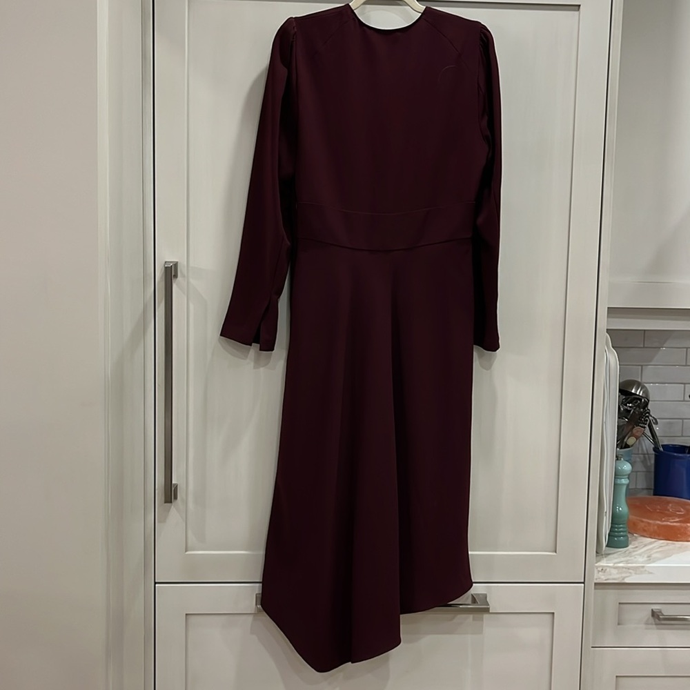 EUC ALC Loyola long sleeve plum fit and flare v neck dress with asymmetrical hem - Picture 8 of 12